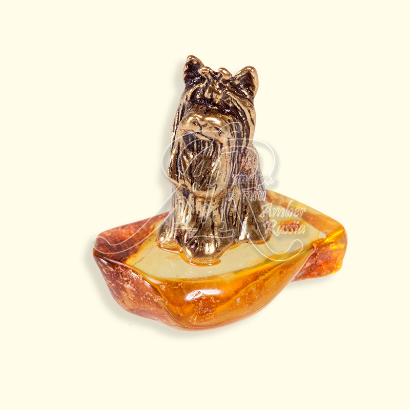 Собачка Йорк Латунь, янтарь